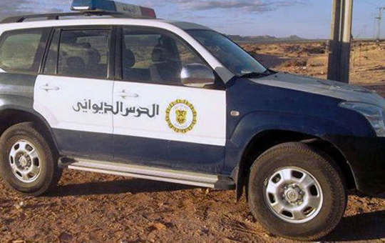 الديوانة 