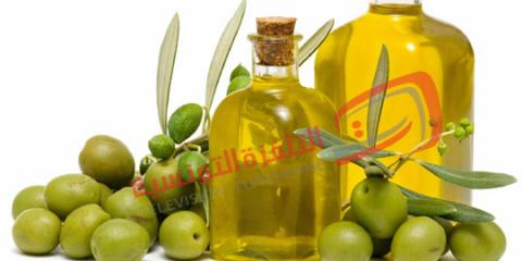 زيت الزيتون زيت الزيتون